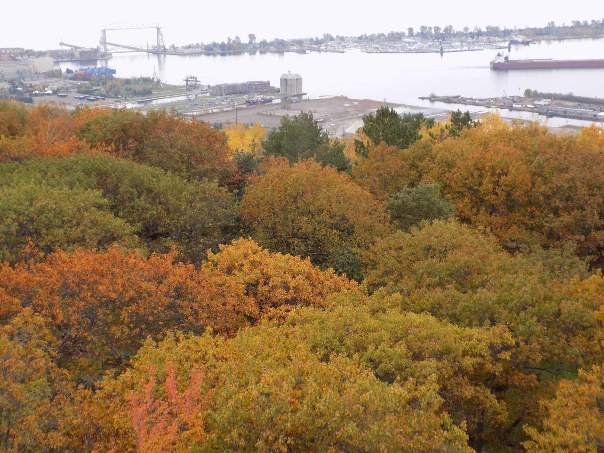 Fairfield Inn & Suites By Marriott Duluth Waterfront Exteriör bild
